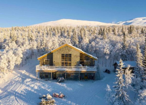 Villa Ullådalen på fjället i Åre ski in-out